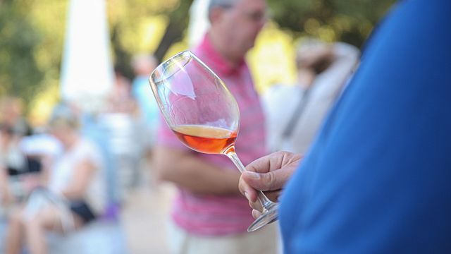 Excursion dans une cave à vin Visite du vignoble, dégustation de 3 vins et collations