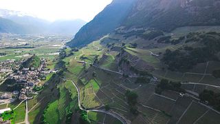 Degustazione di vini classici al Luisier Vin