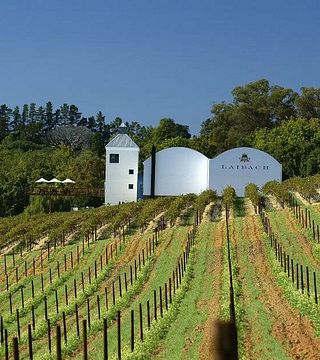 Zeit in einem Apartment bei Ladybird Vineyards verbringen
