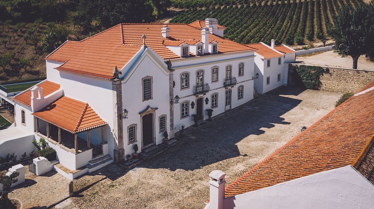 Degustação de Vinhos e Apresentação de Dressage