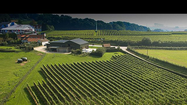 Blitz Visita Degustazione di vini e tour a Entre-Deux-Monts