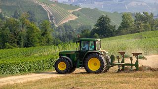 Chasse aux truffes privée à Barolo