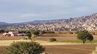 Bodega El Cese