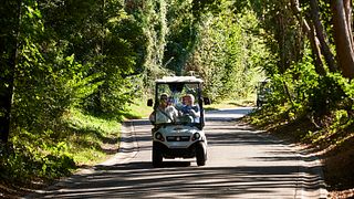 Winesafari con ECO-cart