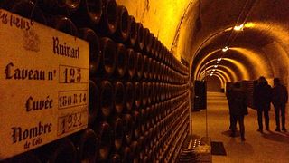 Weinprobe und Tour bei Costaripa