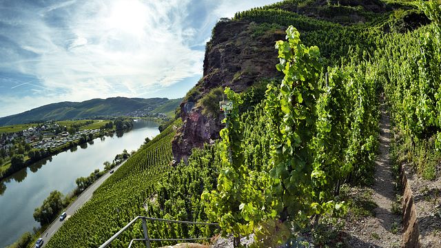 Weingut Schmitges