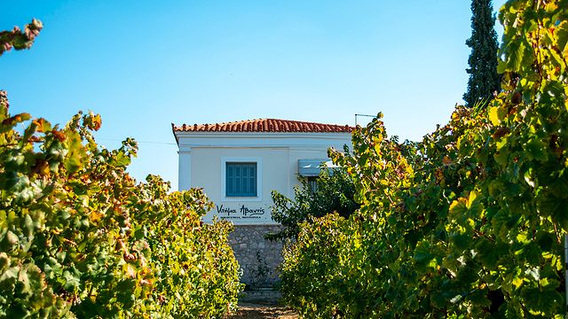 Degustazione di vini elegante presso la tenuta Avantis