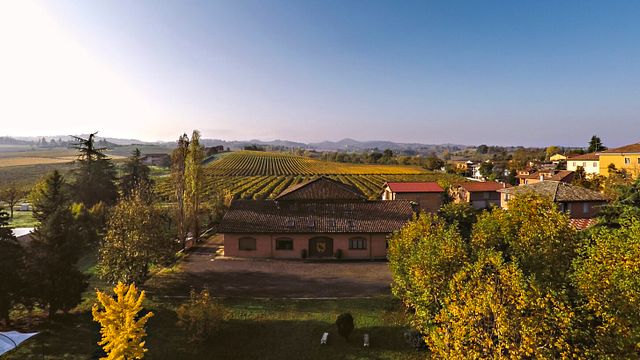 Pic Nic dans le vignoble | Lodi Corazza