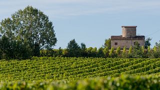 Southwest France Wine Journey at Domaine de Perreau