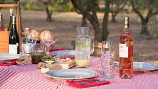 Weinprobe und Führung im Château Canet