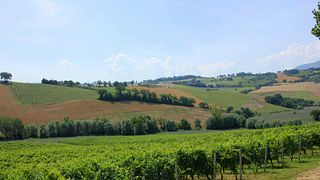 Borgo Paglianetto