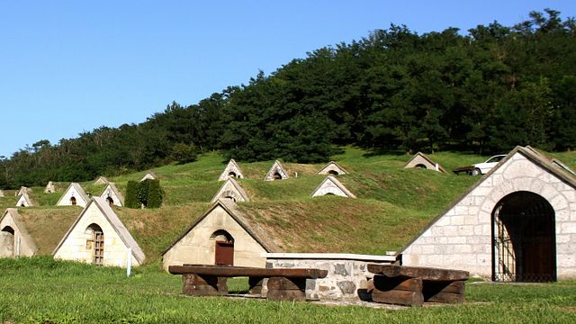 Tour enologici nella regione vinicola di Tokaj 