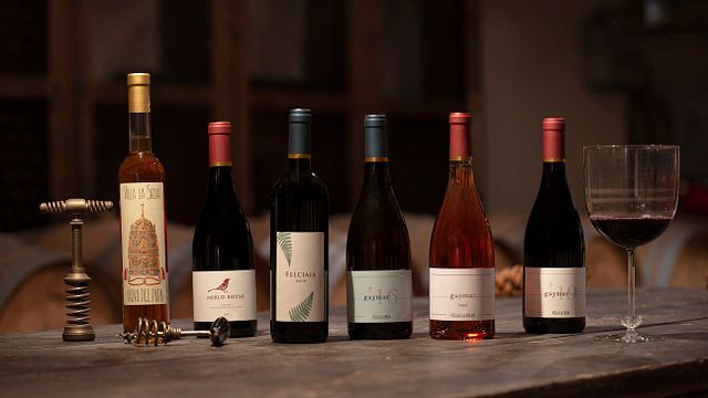 Typische Weintour & Verkostung 