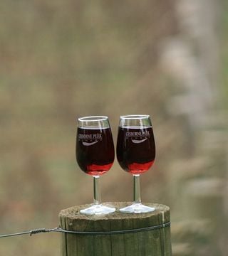 Beliebte Weinprobe und Tour im Gisborne Peak Winery