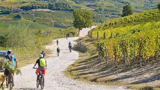 Tour privé en vélo électrique « Langhe del Barolo » – Route asphaltée et en terre