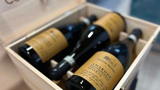 Degustazione e visita a Corte Adami