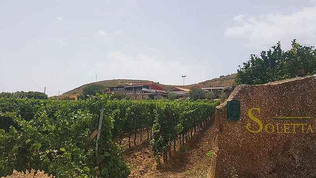 Tenute Soletta Winery