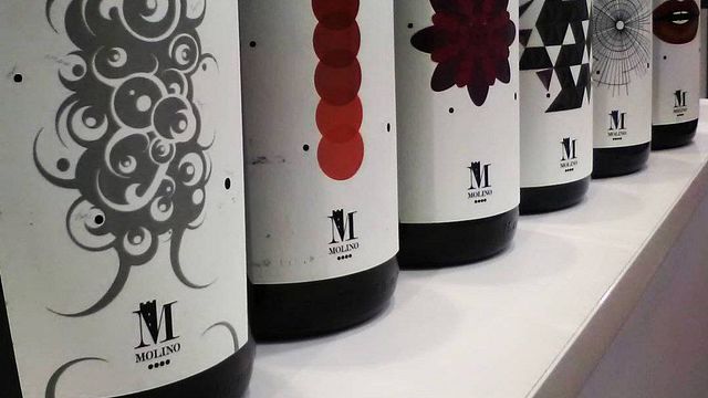 Cata rápida de vinos en Agricola Molino