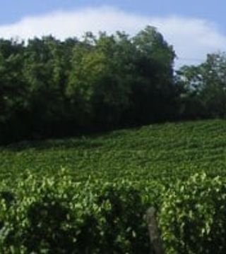 Domaine de Beyssac