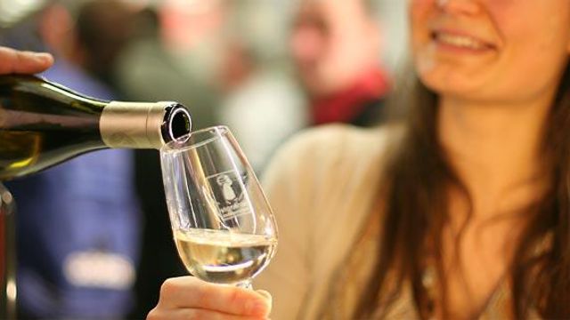 Weinprobe und Führung im Domaine Sick-Dreyer