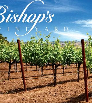 Degustazione di vini e visita al Bishops Vineyard