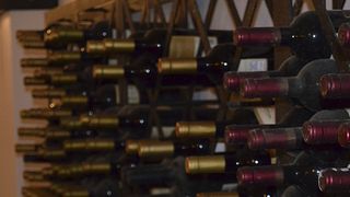 Atividades de Prova de Vinhos no João Portugal Ramos
