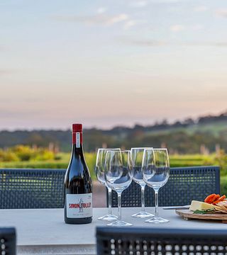 Degustação de vinhos e tour na Simon Tolley Wines