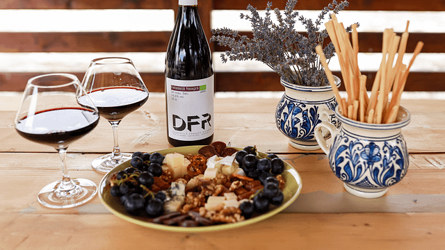 Cata de vinos y visita a los dominios franco-romanos