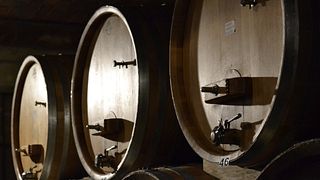 CATA DE CINCO VINOS EN EL CENTRO HISTÓRICO DE NEIVE