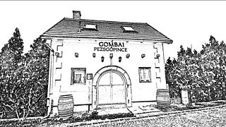 Dégustation de vins et visite de la cave à vin de Gombai