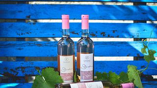 Zaharchev Winery and Distillery