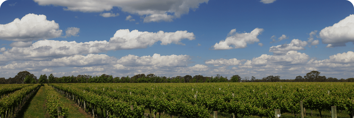 Coonawarra