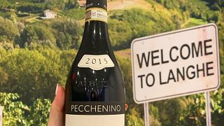 Wine Tasting and Tour at Pecchenino
