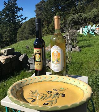 Vinprovning och rundtur på Le Vin Winery