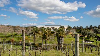 Westbrook Winery: A Taste of Auckland's Heritage