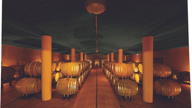 Azienda Agricola Talenti: A Tuscan Gem