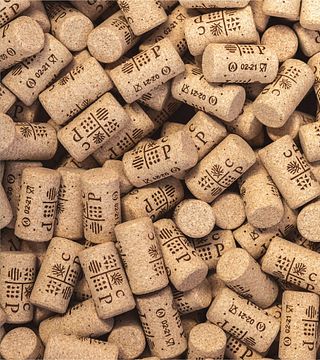 Dégustation de vins et visite à la Casa Piazza