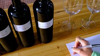 Quinta da Folgorosa: Blending e Prova de Seis Vinhos
