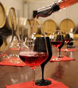 Tour del vino: Il Leone di Nemea