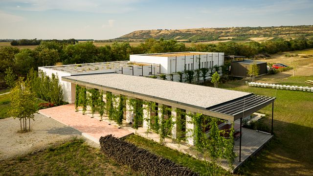 Cata de vinos comentada con Dorli Muhr