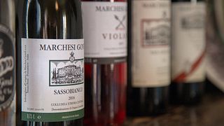 Tasting of Three Chianti Rufina Wines at Marchesi Gondi - Tenuta Bossi