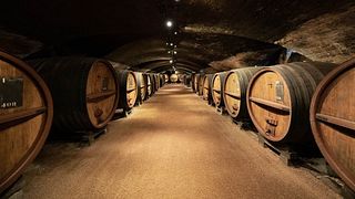 Tour, Weinprobe und Picknick im Château des Ravatys 