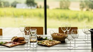 Dégustation de vins privée et visite du vignoble