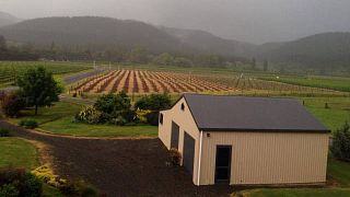 Linden Estate Winery