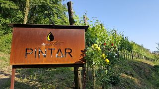 Pintar Wine & Guest Estate