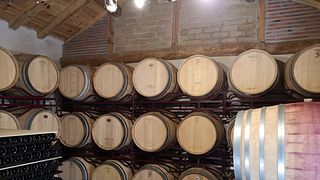 Dégustation de vins à Las dos Antiguas
