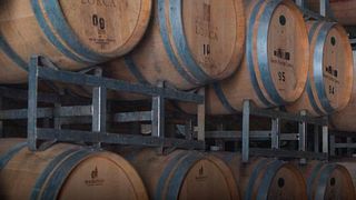 Dégustation de vins et visite de la Bodega Foster Lorca
