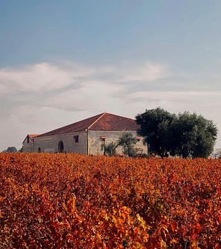 Domaine Des Tourelles