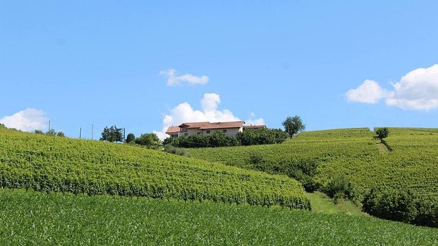 Degustazione di vini alla Cascina Carlot