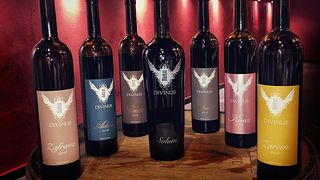 Markus Divinus Winery